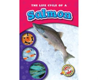 The_Life_Cycle_of_a_Salmon